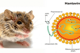 CHỦ ĐỘNG NÂNG CAO Ý THỨC TRONG KIỂM SOÁT DỊCH BỆNH DO VIRUS HANTA