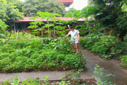 Huyện Ân Thi – Phát triển vườn thuốc nam.